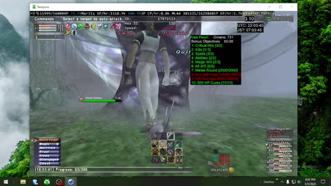Playing Final Fantasy XI Online