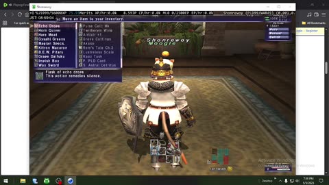 Playing Final Fantasy XI Online