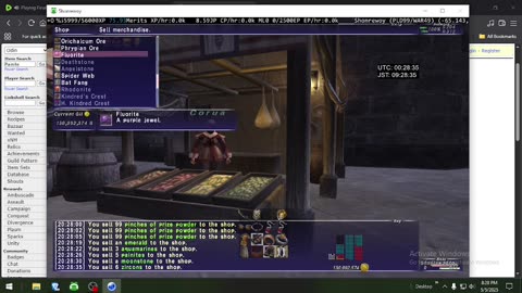 Playing Final Fantasy XI Online
