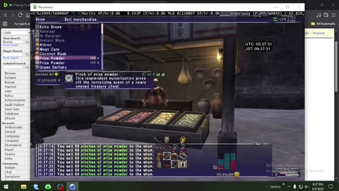 Playing Final Fantasy XI Online