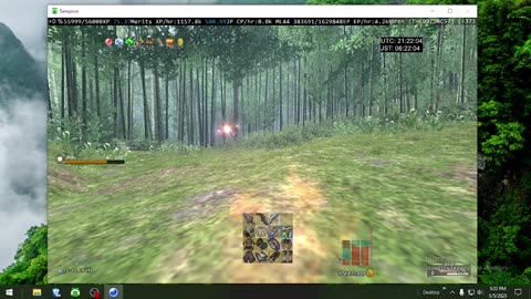 Playing Final Fantasy XI Online
