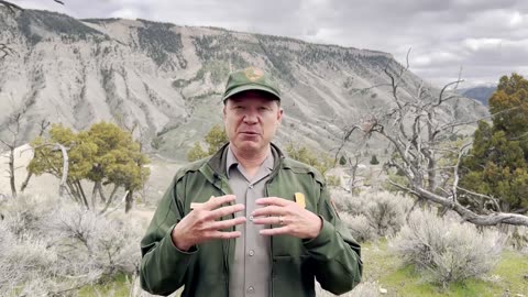 History of Elk Management at Yellowstone