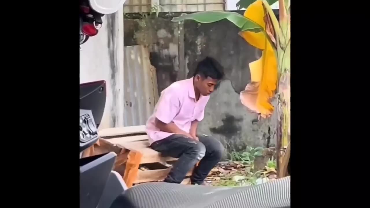 funny video