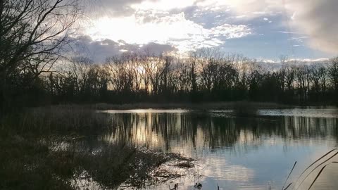 Neighborhood Pond at Sunset