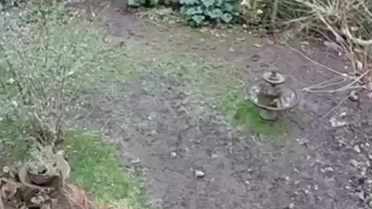 Wat zijn dit voor praktijken?