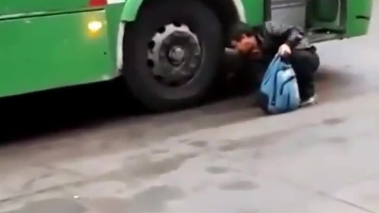 Crazy suicide cat! 😂🤦‍♀️🙀