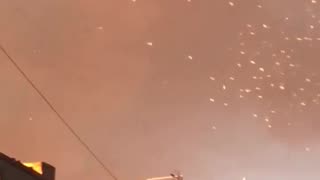 UFOs? Strange phenomenon leaves seagulls practically glowing in Manchester