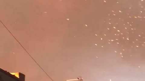UFOs? Strange phenomenon leaves seagulls practically glowing in Manchester