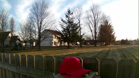 Dude With Too Much Time on His Hands Trains Crows to Attack MAGA Hats