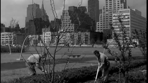 Construction of the UN Buildi... - Construction of the UN Building, New York City, NY - 111-lc-44956