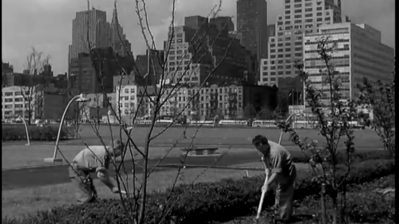Construction of the UN Buildi... - Construction of the UN Building, New York City, NY - 111-lc-44956