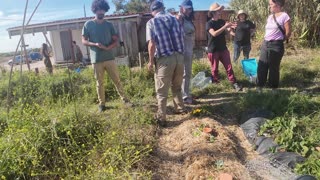 As Terças na Horta Experimental, Margem Sul Agrofloresta 9th of Sept 2k25 Pt 2