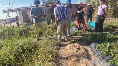 As Terças na Horta Experimental, Margem Sul Agrofloresta 9th of Sept 2k25 Pt 2