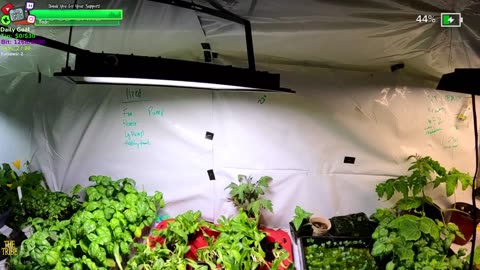 Rarest IRL on Twitch NO 1 does it like the TRIBE Day 347 Family Builds FARMSTEAD Dream Journey to Freedom in REMOTE ALASKAN Village | !Real