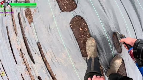 Rarest IRL on Twitch NO 1 does it like the TRIBE Day 347 Family Builds FARMSTEAD Dream Journey to Freedom in REMOTE ALASKAN Village | !Real