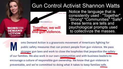 Gun Control Campaigns Begin ONE Day After Sandy Hook: The Laws Behind Government False Flags