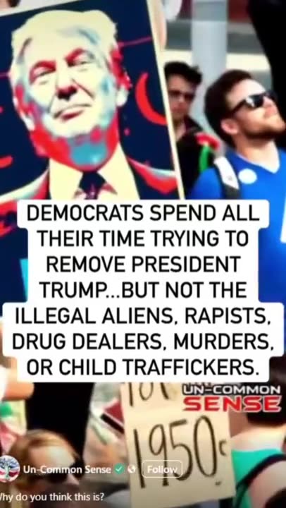 DEMOCRATS SPENDS ALL THEIR TIME TRYING TO REMOVE PRESIDENT TRUMP BUT NOT THE ILLEGALS