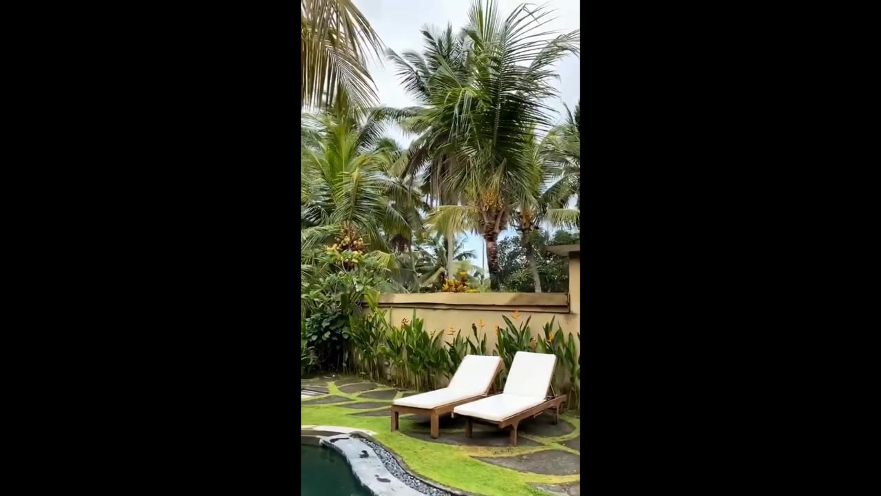 My Friend's Bali Vacation: Take a Look!