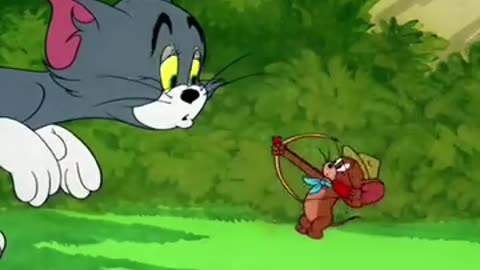 Tom and jarry funny vidieo