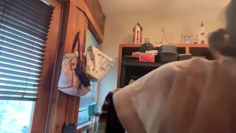 07/04/25 Gymnik VOD: "Kellibelly is live!" Part 1