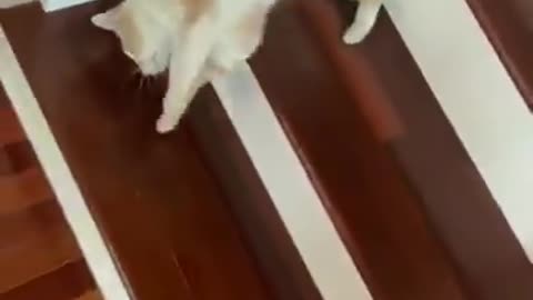 Stair crawl