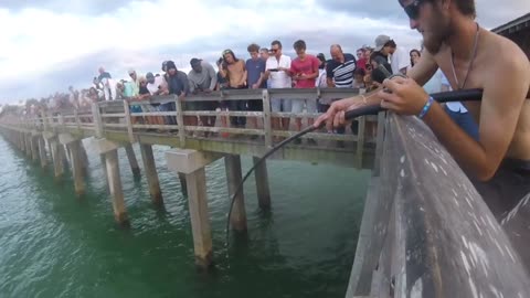 What’s Lurking in These Waters?