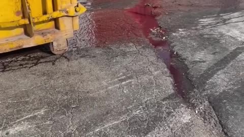 Where they process our meat guys