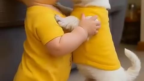 “The Online Puppy School – Raise a Happy, Well-Behaved Puppy in Just 8 Weeks”