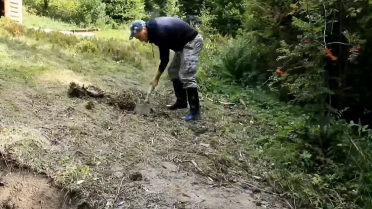 Survival in the Wilderness is always had a tough Job