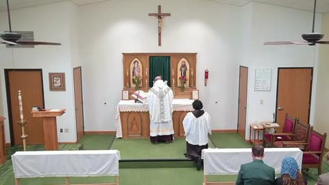 Dedication of the Patriarchal Basilica of Assisi - Holy Mass 05.25.25