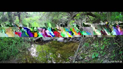 Live Stream