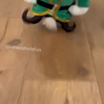 Funny And Cute 💖 💖