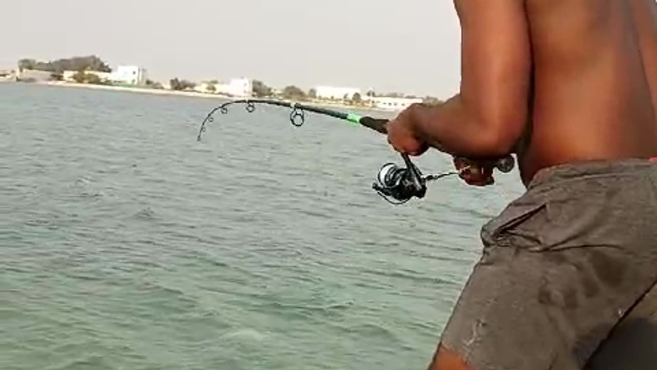 Fish catching