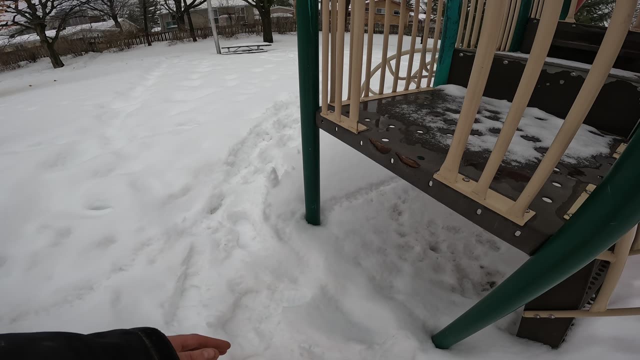 โ๏ธ2025โ๏ธ03-15๐ฟ Looking For Liter In The Winter ๐ฎ๐๏ธ@ Kilreen Park #111 In Ottawa ๐Spring is in the Airโ๏ธ Canada ๐