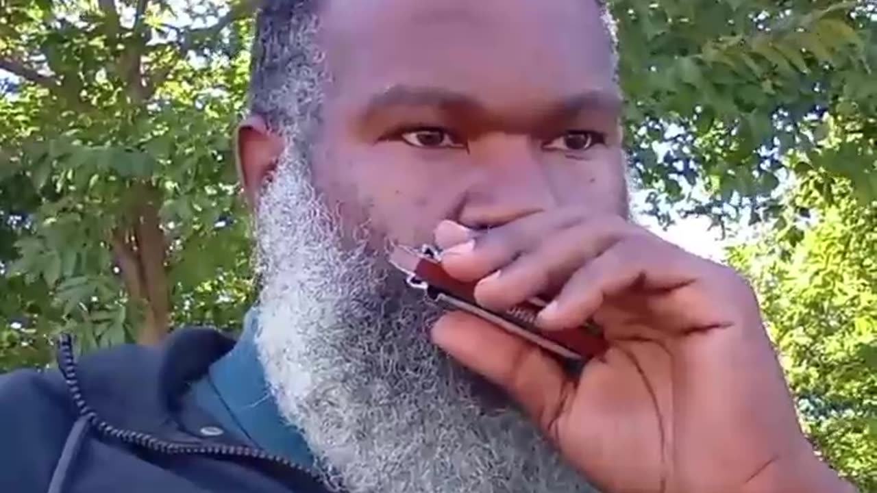 More harmonica music to torture your enemies with... 🎵🎶