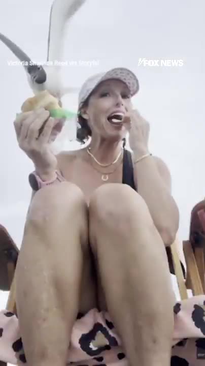 Beachgoer's Sandwich Snatched By Bold Seagull