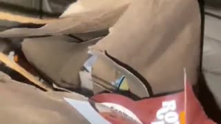 Ratchet Door Dasher Eats Ratchet Food Delivery