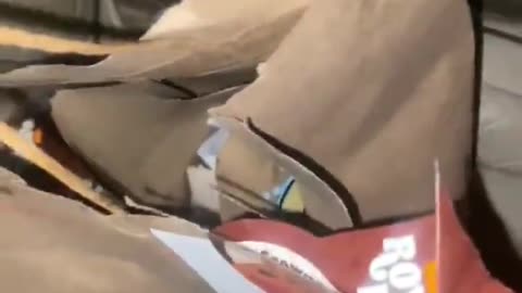 Ratchet Door Dasher Eats Ratchet Food Delivery