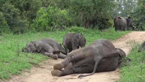 Getting Up After A Nap