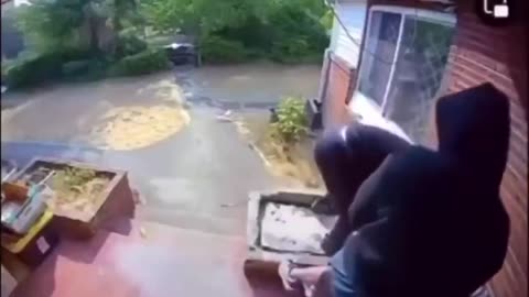 Black teens rob and taze an Asian man at his home.