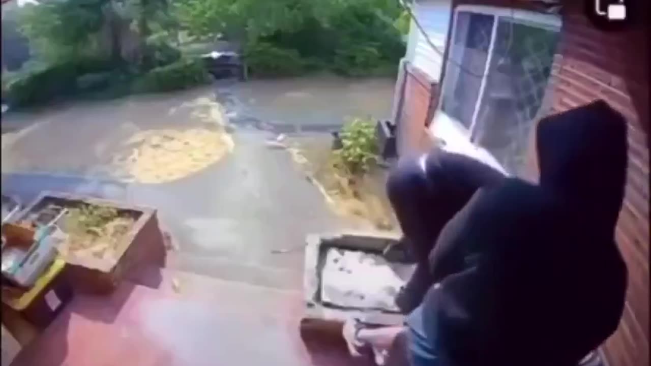 Black teens rob and taze an Asian man at his home.