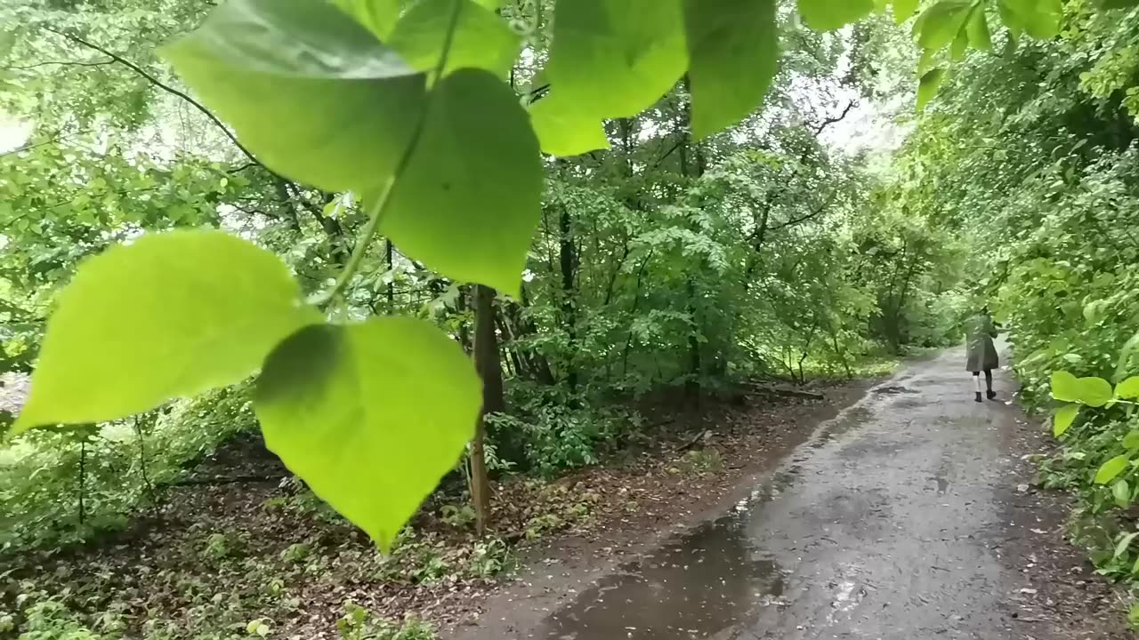 co kazało mi tu przyjść ???