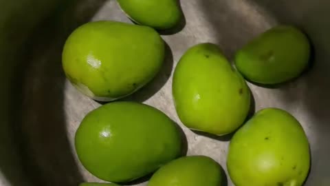 young mango