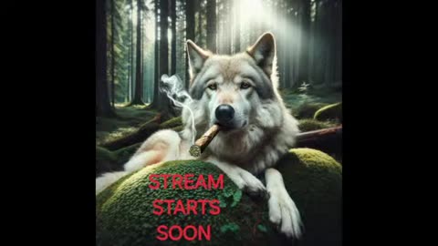 32.Wolf Slumbers Black Pilled Live Stream counter trike doom quake half life grand theft auto