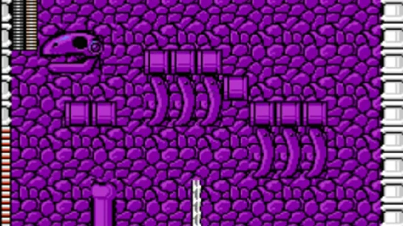 Mega Man 4 Robot Masters