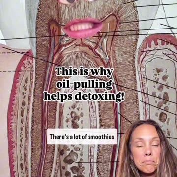 Did you know that the mouth has a lymphatic drainage system and our tooth ...