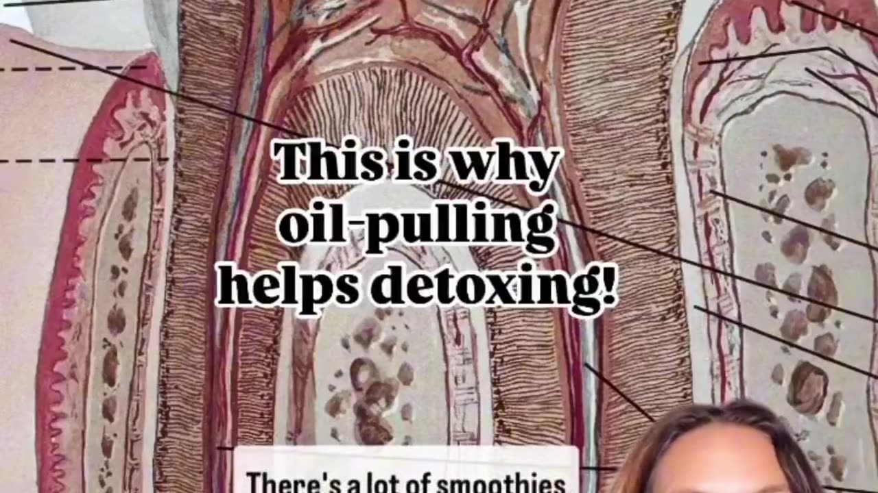 Did you know that the mouth has a lymphatic drainage system and our tooth ...
