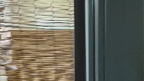 Upgrade Your Home with Broken Bridge Aluminum Casement Doors for Ultimate Comfort and Style