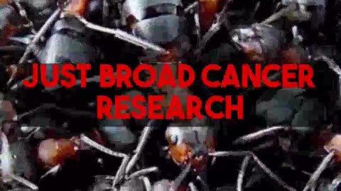 Effective grant writing for MMA supported cancer research