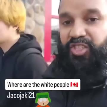 Niagara Falls, NOT a White person in sight